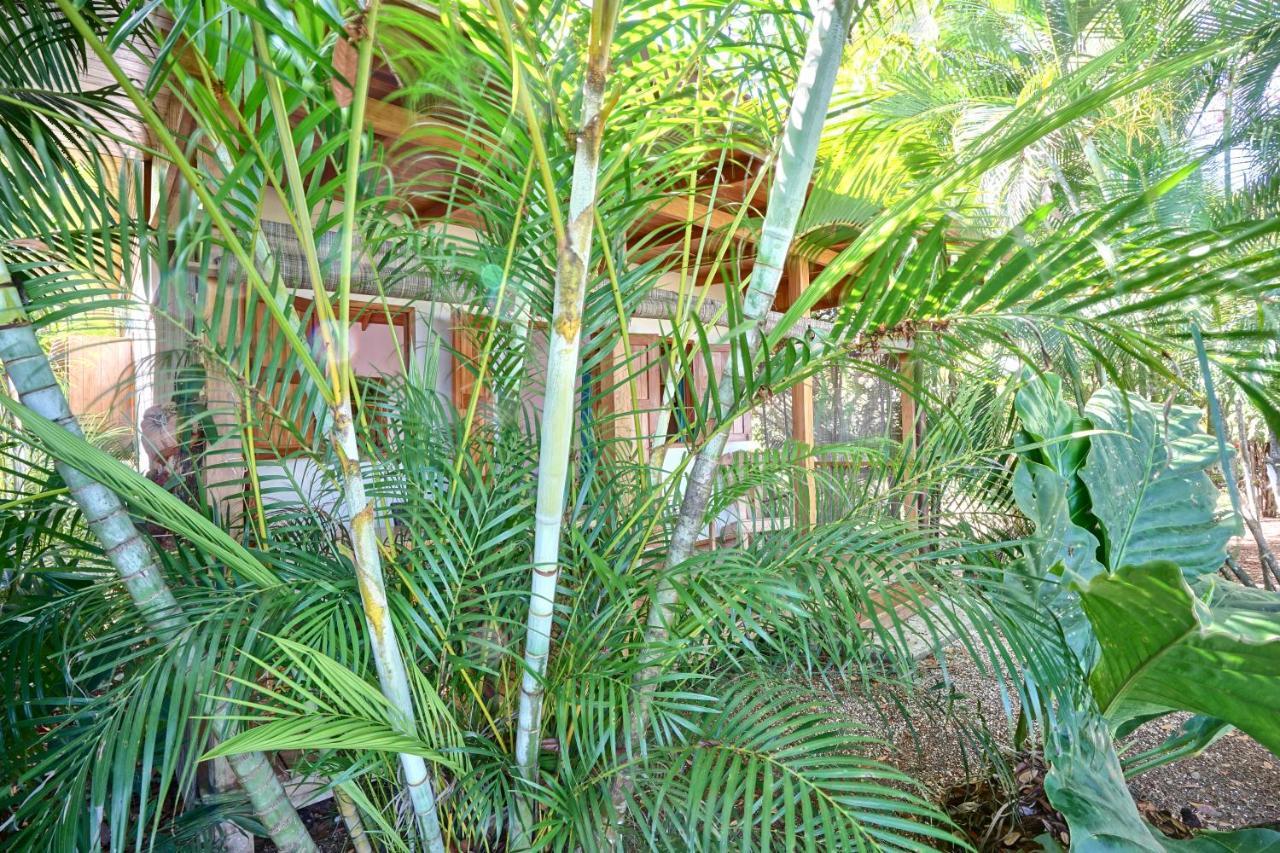 Calamocha Lodge Playa Santa Teresa  Exterior photo